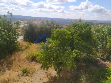 Terreno para Venda em Carregueiros