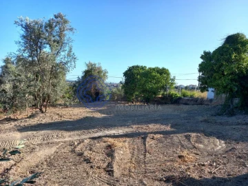 Terreno para Venda em Carregueiros