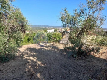 Terreno para Venda em Carregueiros