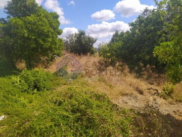 Terreno para Venda em Carregueiros