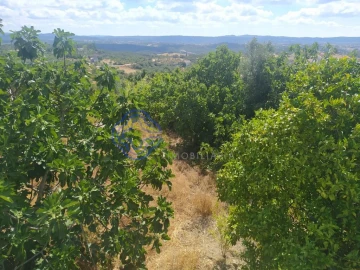 Terreno para Venda em Carregueiros