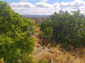 Terreno para Venda em Carregueiros