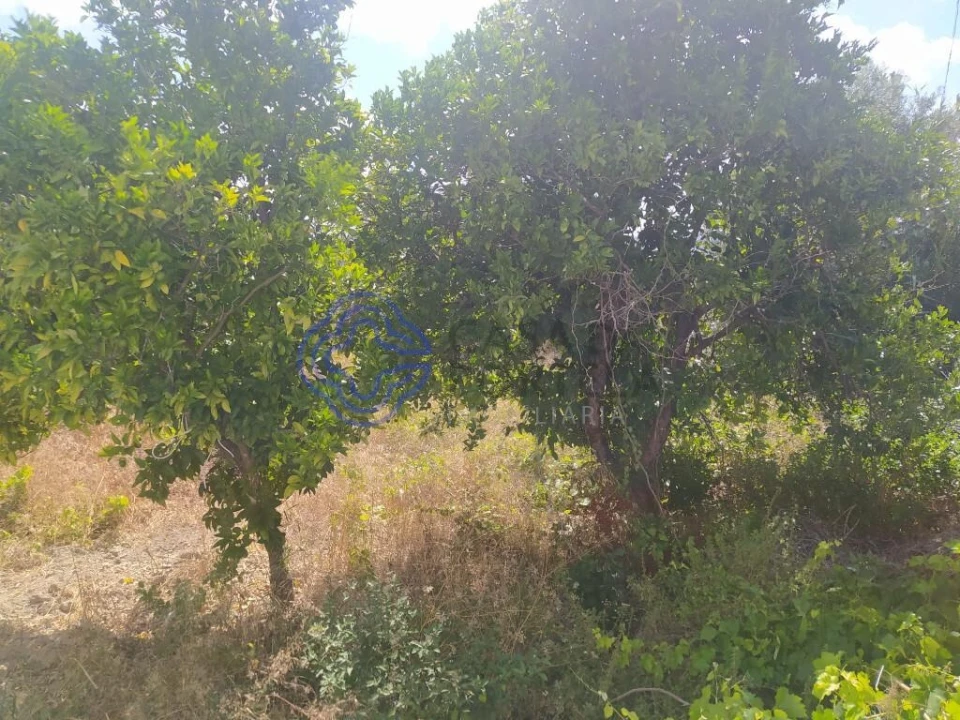 Terreno para Venda em Carregueiros Foto 8