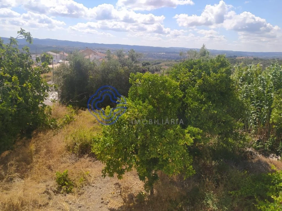 Terreno para Venda em Carregueiros Foto 5