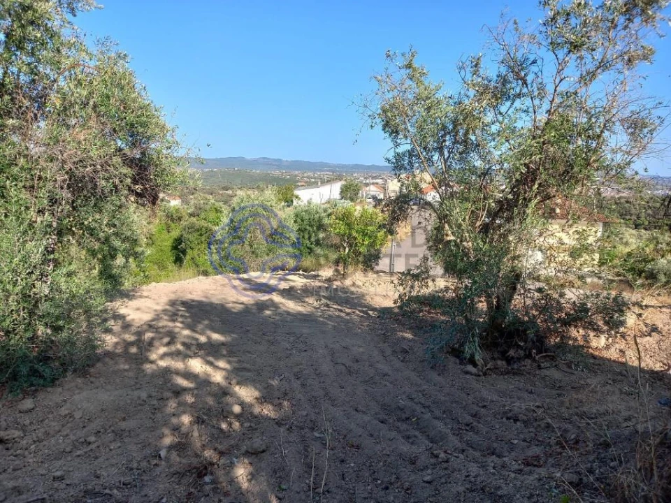 Terreno para Venda em Carregueiros Foto 5
