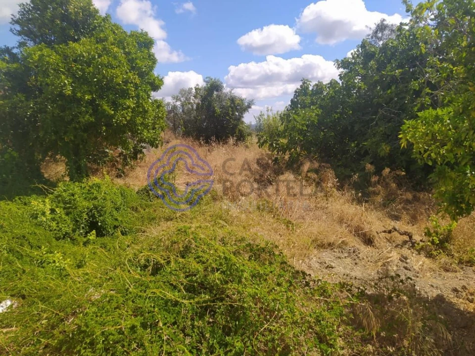Terreno para Venda em Carregueiros Foto 7