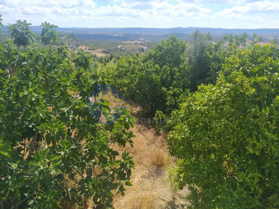 Terreno para Venda em Carregueiros Foto 2