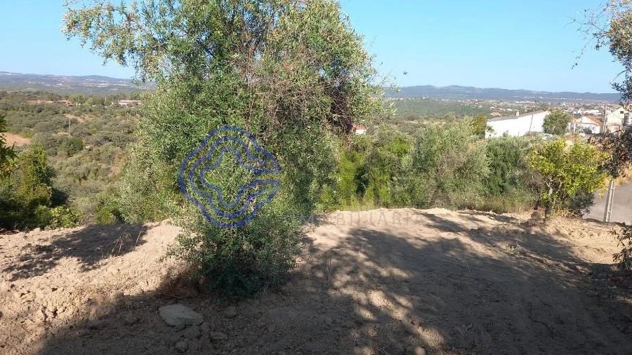 Terreno para Venda em Carregueiros