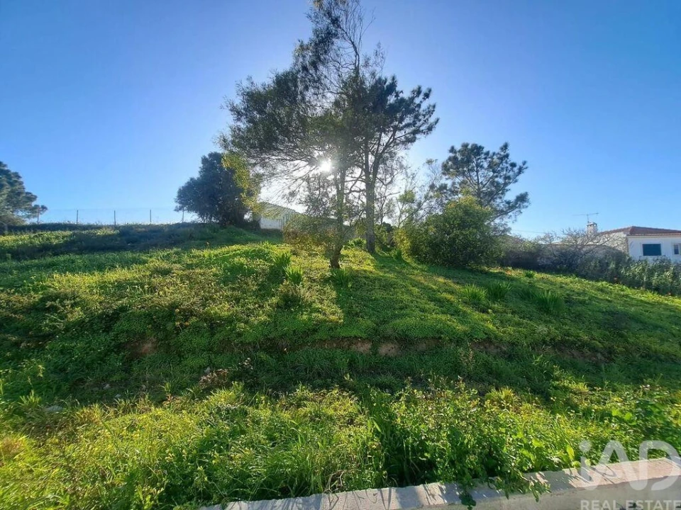 Apartamento para Venda em Ericeira Foto 16