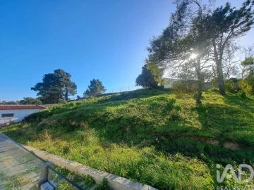 Apartamento para Venda em Ericeira