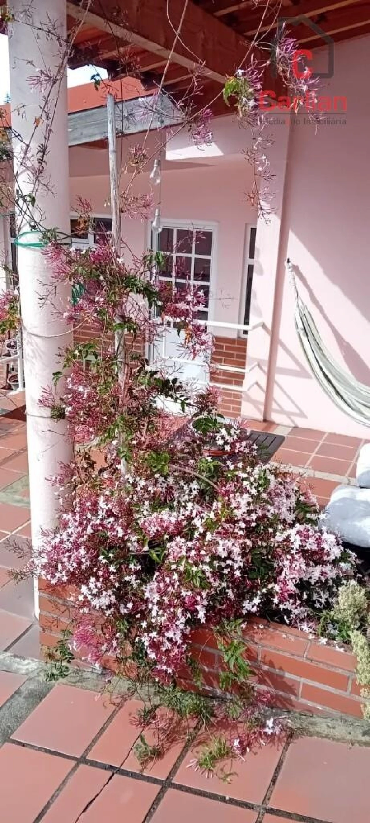 Moradia T3 para Venda em Arcozelo Foto 30