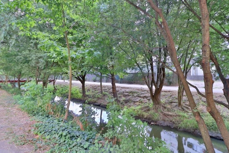 Apartamento T4 para Venda em São Vitor (Braga) Foto 9