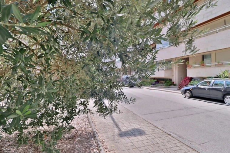 Apartamento T4 para Venda em São Vitor (Braga) Foto 57