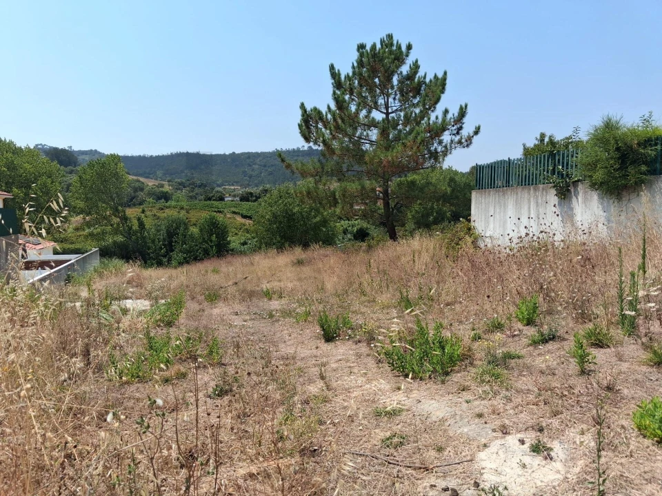 Terreno para Venda em Enxara do Bispo, Gradil e Vila Franca do Rosário Foto 5