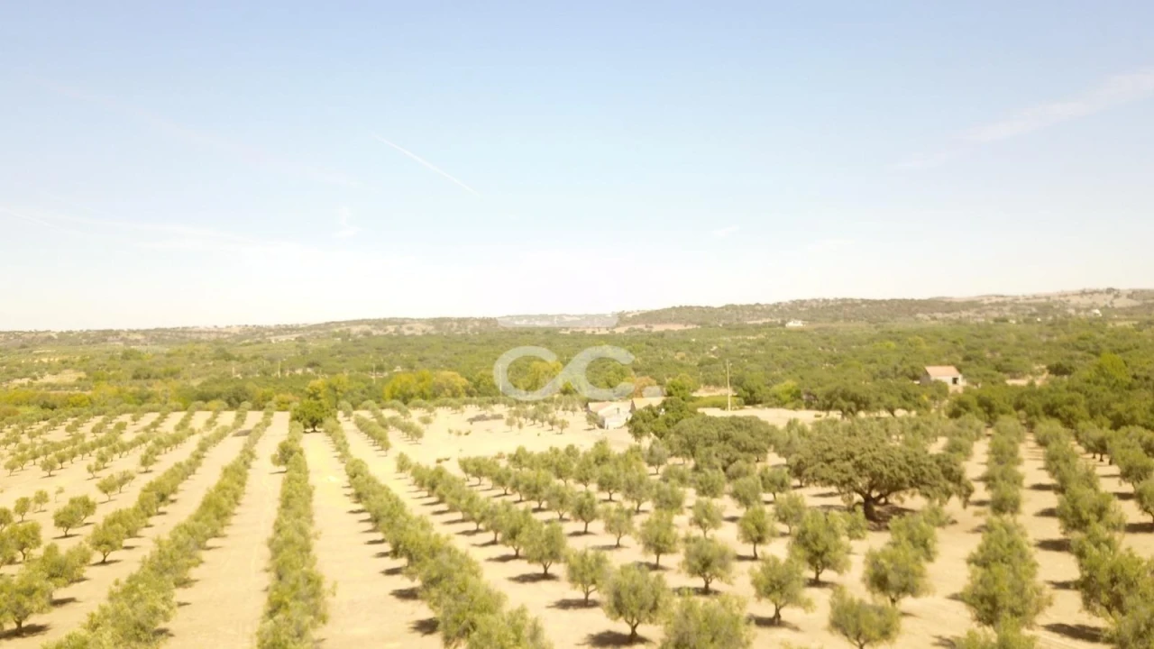 Quinta para Venda em Vila de Frades Foto 2