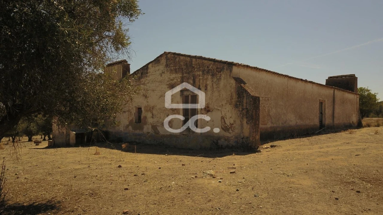 Quinta para Venda em Vila de Frades Foto 26