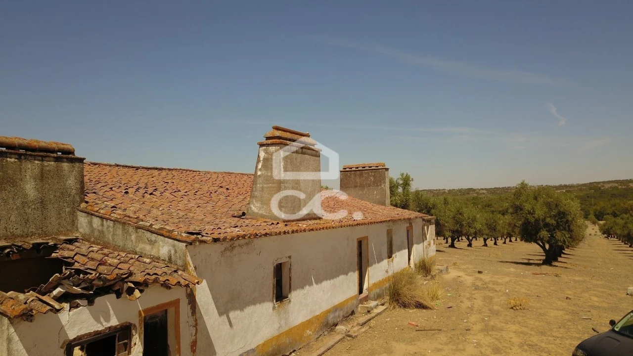 Quinta para Venda em Vila de Frades Foto 23