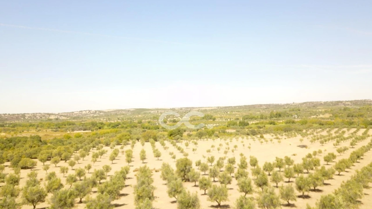 Quinta para Venda em Vila de Frades Foto 14