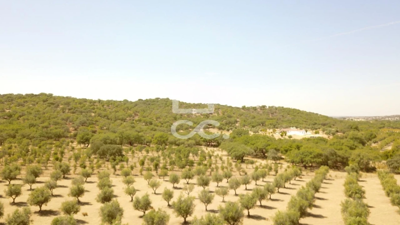 Quinta para Venda em Vila de Frades Foto 36