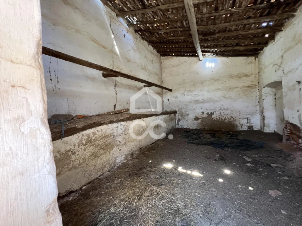 Quinta para Venda em Vila de Frades Foto 30