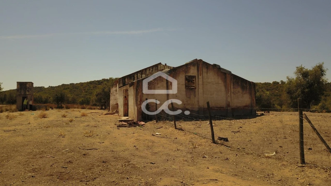 Quinta para Venda em Vila de Frades Foto 15