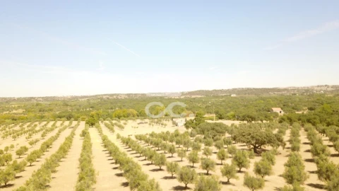 Quinta para Venda em Vila de Frades