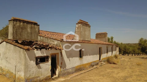 Quinta para Venda em Vila de Frades