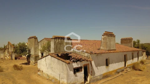 Quinta para Venda em Vila de Frades