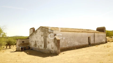 Quinta para Venda em Vila de Frades