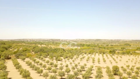 Quinta para Venda em Vila de Frades