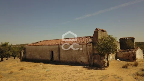 Quinta para Venda em Vila de Frades