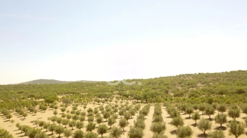 Quinta para Venda em Vila de Frades