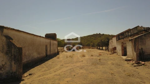 Quinta para Venda em Vila de Frades