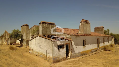 Quinta para Venda em Vila de Frades