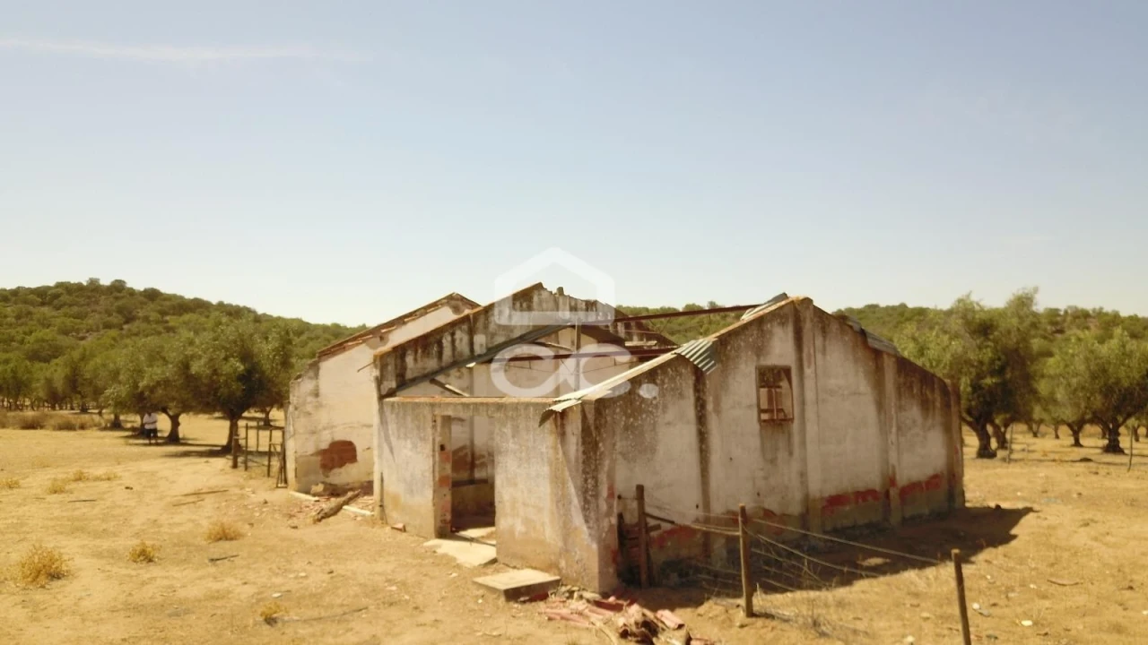 Quinta para Venda em Vila de Frades Foto 8