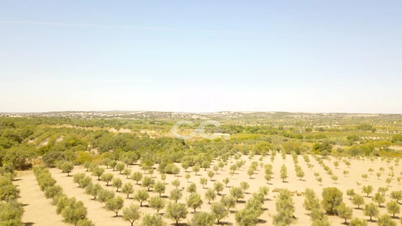 Quinta para Venda em Vila de Frades Foto 33