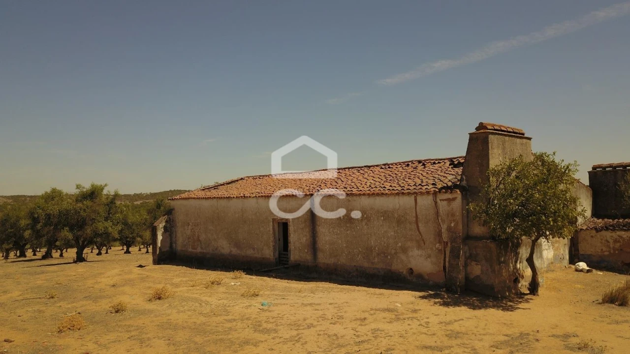 Quinta para Venda em Vila de Frades Foto 16