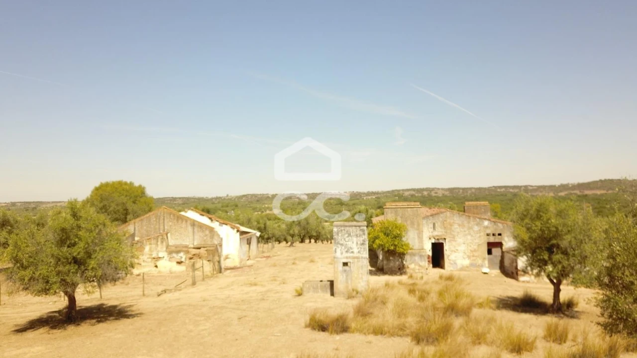 Quinta para Venda em Vila de Frades Foto 18