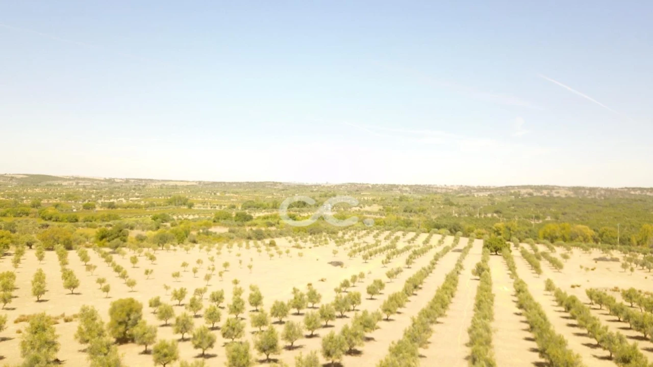 Quinta para Venda em Vila de Frades Foto 4