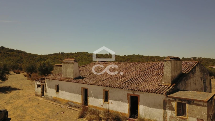 Quinta para Venda em Vila de Frades Foto 24