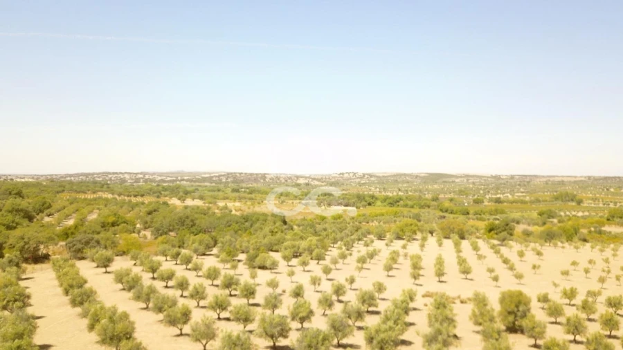Quinta para Venda em Vila de Frades Foto 33