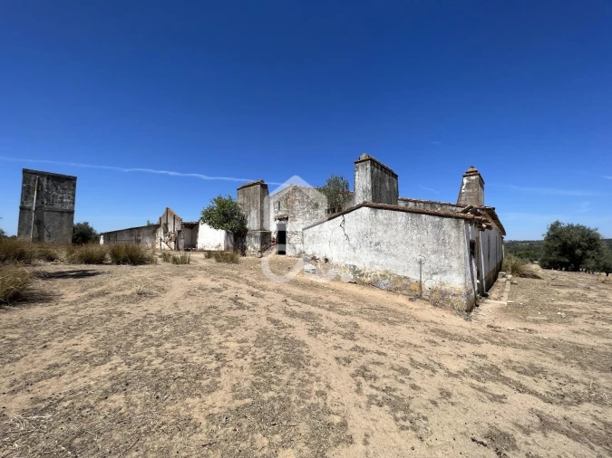 Quinta para Venda em Vila de Frades Foto 13