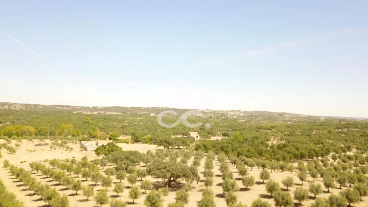 Quinta para Venda em Vila de Frades Foto 9
