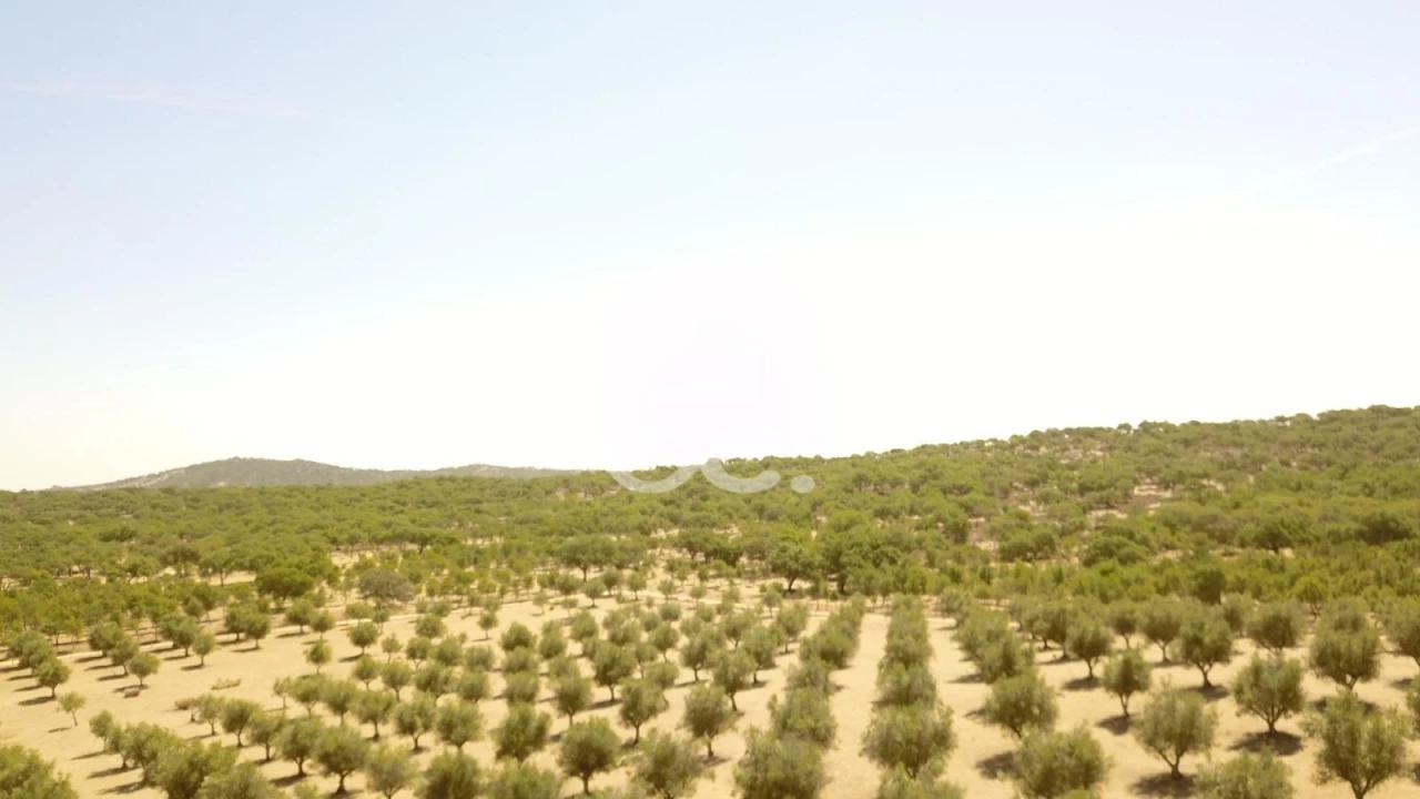 Quinta para Venda em Vila de Frades Foto 35