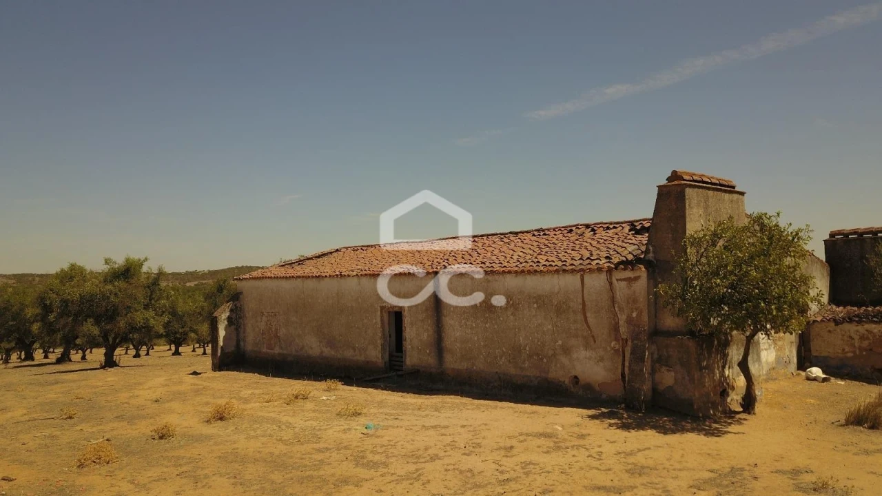 Quinta para Venda em Vila de Frades Foto 10