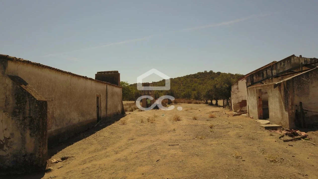 Quinta para Venda em Vila de Frades Foto 22