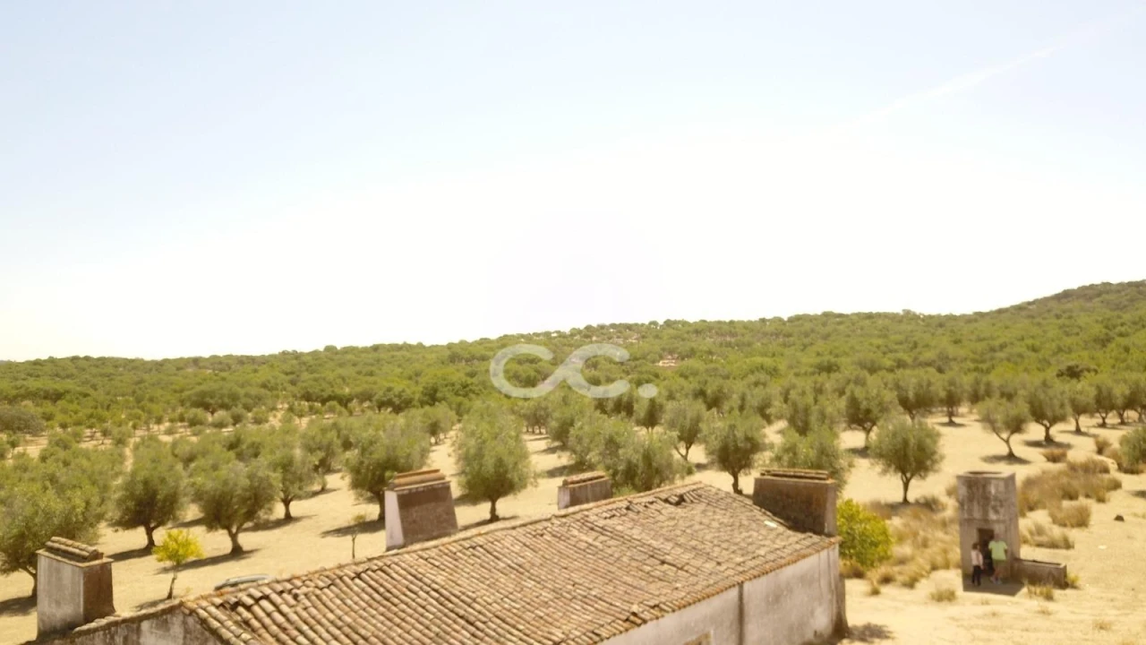 Quinta para Venda em Vila de Frades Foto 19