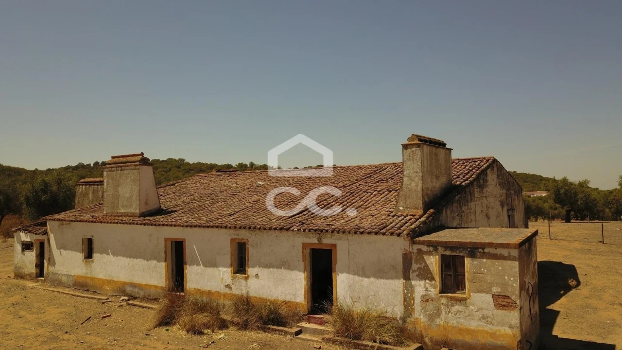 Quinta para Venda em Vila de Frades Foto 11