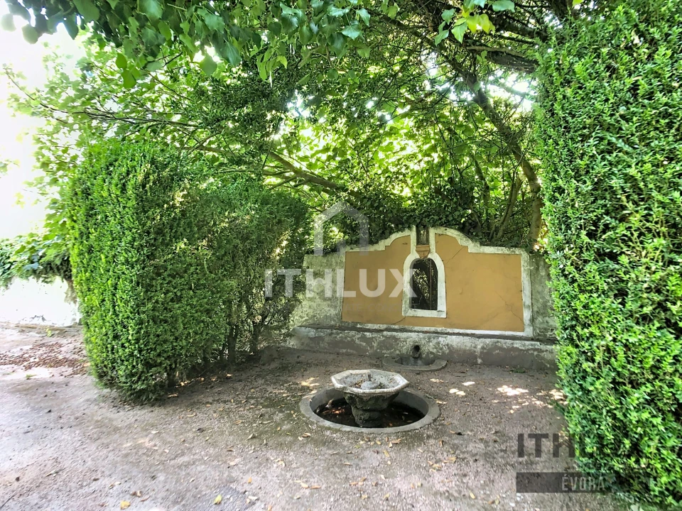 Quinta T30 para Venda em São Bras e São Lourenço Foto 5