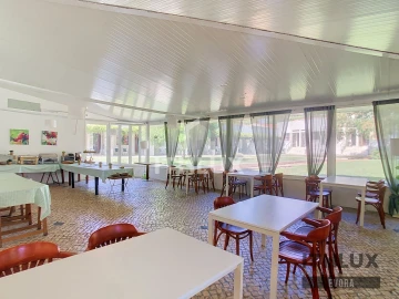 Quinta T30 para Venda em São Bras e São Lourenço